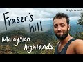 FRASER'S HILL: Historical Facts, Pine Tree Trail, Ye Olde Smokehouse and much more! Malaysia, 2020