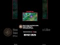 Don't Do This Fatal Mistake as an Exp Laner!