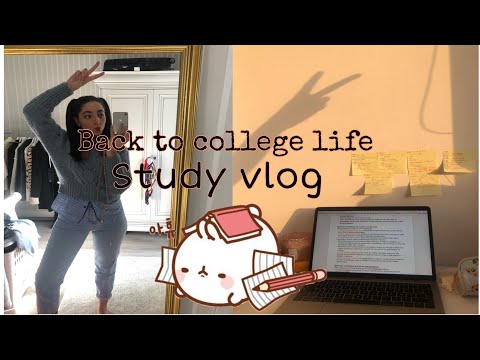 Study Vlog I Final exam I Med student in Iasi