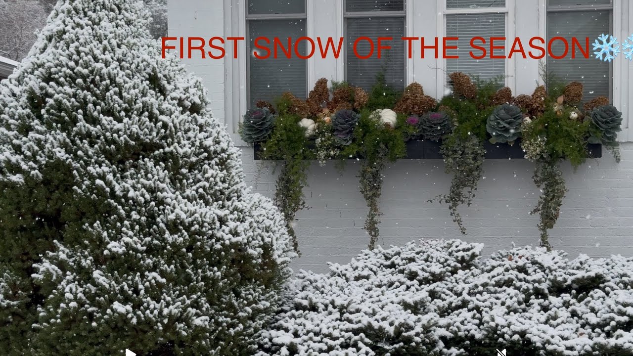 FIRST SNOW OF THE SEASON ️🌲 ️. - YouTube