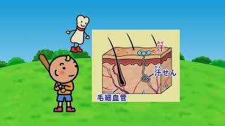 体の仕組み～小学生の理科～【学習教材DVDサンプル 2022年更新版】