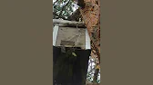 Роелов