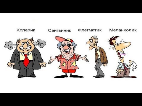 Секреты темперамента: холерик и сангвиник