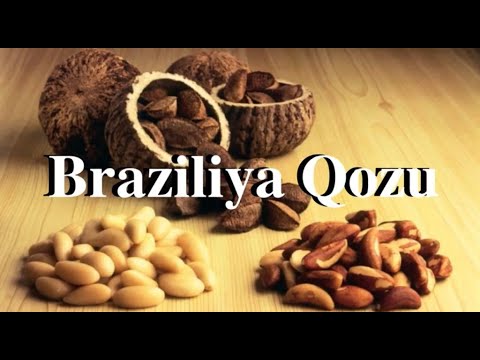 Video: Braziliyanın xüsusiyyətləri