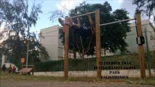 Rdv Le 22 Fevrier. Démonstration De Street Workout Calisthenics Moves