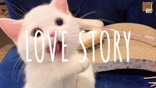 Love story (remix cute) - DJ Komang Rimex // (Vietsub + Lyric) Tik Tok Song