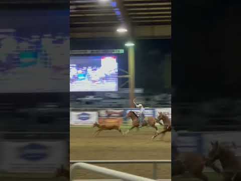 Video: Bilakah norco rodeo?