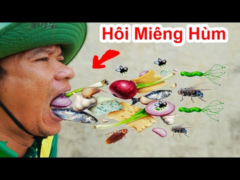 Video HÔI MIỆNG HÙM Ai Thấy Bạn Cũng Bỏ Chạy / 3 Cách Làm... - youtube