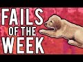 The Best Fails Of The Week August 2017 | Week 2 |  Part 2 | A Fail Compilation By FailUnited