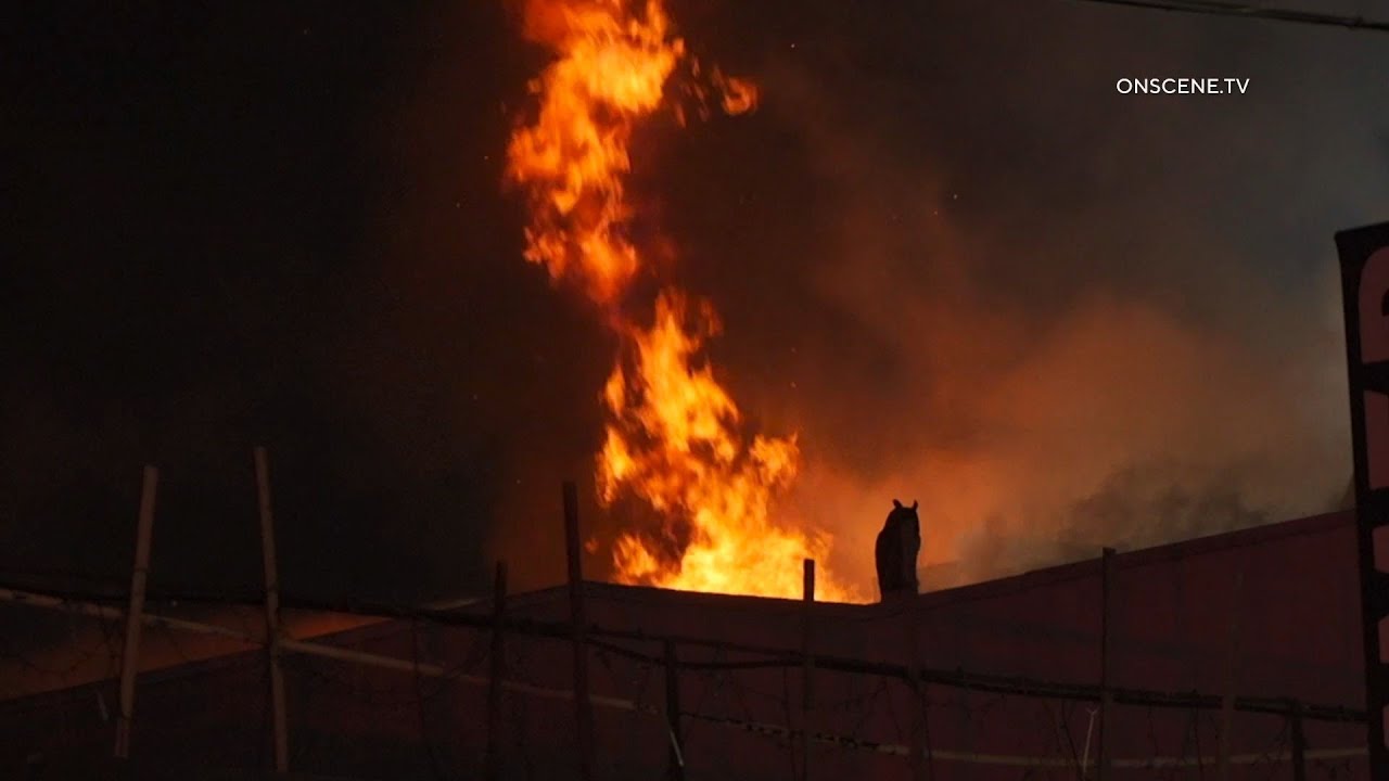 Fire Damages Vacant Beverly Grove Structure | Los Angeles