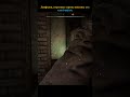 Показалось что бандит... - STALKER 2: Сердце Чернобыля #stalker2 #shorts