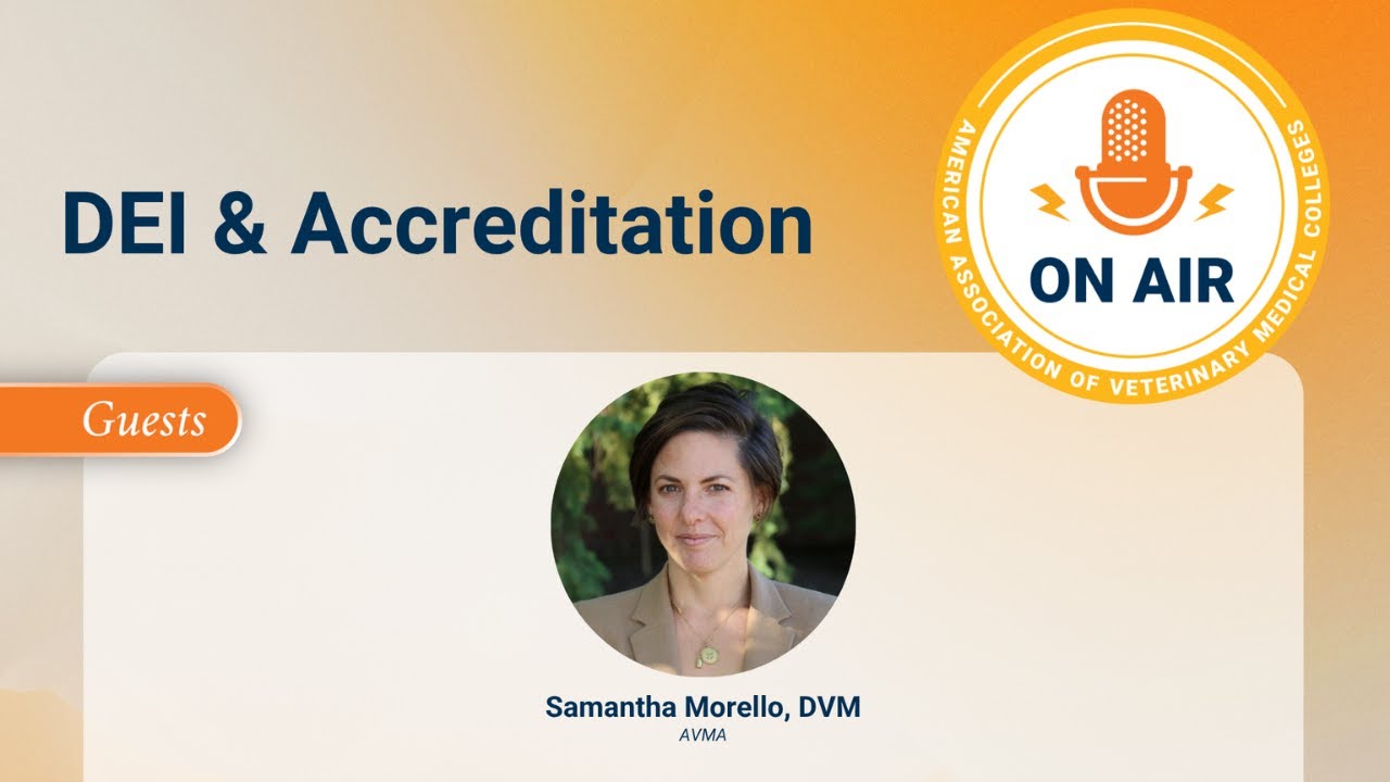 AAVMC's On Air: DEI & Accreditation