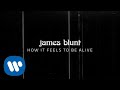 James Blunt - How It Feels To Be Alive [Official Lyric Video]