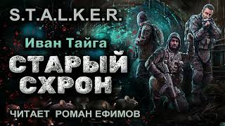 S.T.A.L.K.E.R. Старый схрон (аудиокнига). БОЕВАЯ ФАНТАСТИКА. Иван Тайга. Читает Роман Ефимов.