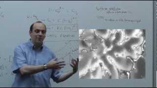 6.1 | MSE104 - Scheil Equation