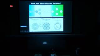 The ins and outs of Ediacaran discs