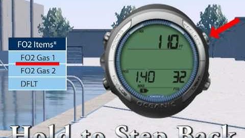 Oceanic Geo 2.0 Settings