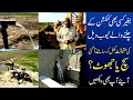 Without Electricity tube well in Pakistan shakar garh | without fuel | without solar | Many Tubewell