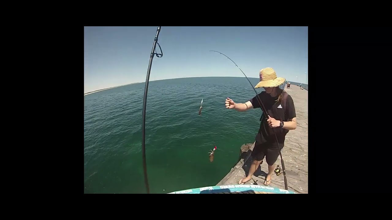 PT1 fishing from Port Hughes jetty YouTube