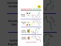 Candlestick Patterns #shorts  #stockmarket #tradingstrategy