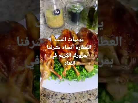 لى بيحب الحمام يحضروا فورا