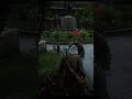 Combat on the Frontier: Red Dead Redemption 2 Shenanigans! #RDR2 #RedDead2 #gaming #shorts