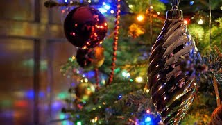 Christmas at Wakehurst