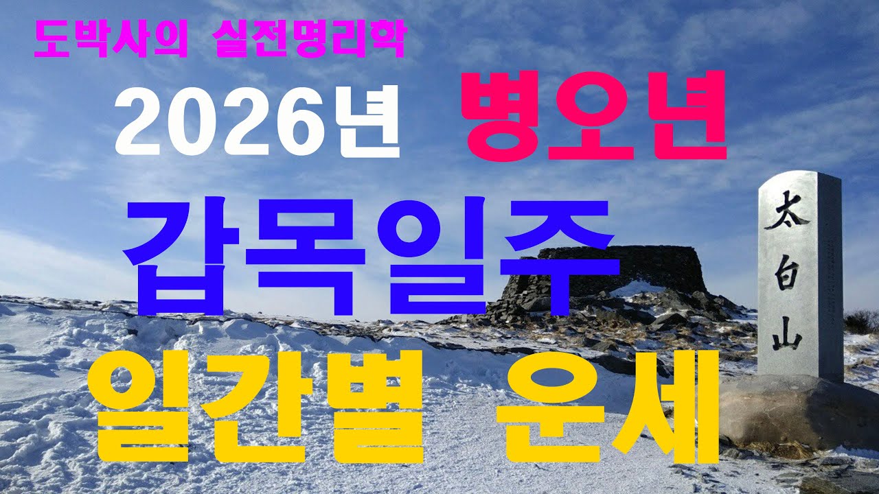 2026년 병오년 갑목일주 일간별 운세