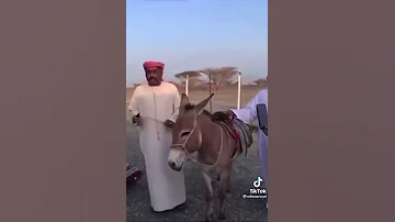 دحروي والحمار 