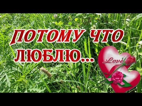 Спасибо за то, что ты есть в моей жизни...