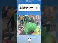 【ヒロアカ】その蘇生方法で合ってる？ #アニメ #僕のヒーローアカデミア #漫画