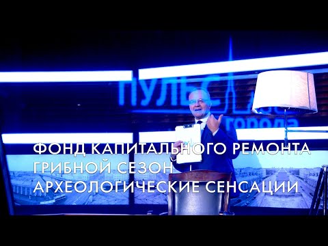 Пульс города. Высокоскоростная магистраль, коренные народы, грибной сезон. 18 августа 2023