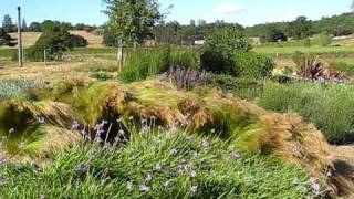 Download Lagu stipa.AVI MP3