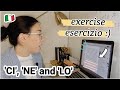 Italian grammar exercise with CI, NE, LO used in context (intermediate to advanced exercise) (Subs)