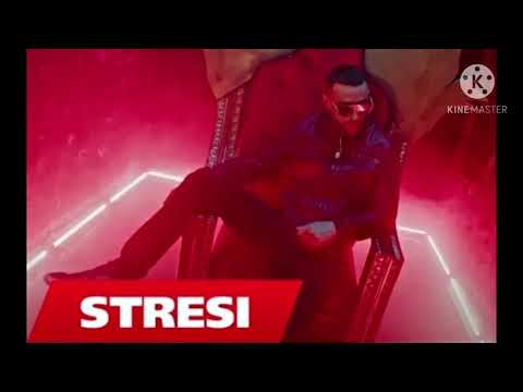 STRESI X FINEM