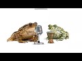 Coolblue Commercial - Deurbel (HD)