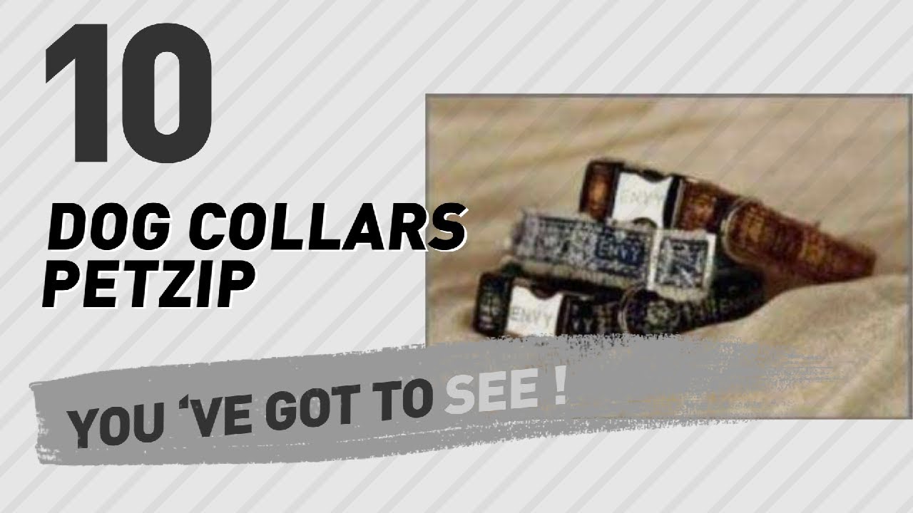 Dog Collars Petzip // Top 10 Most Popular