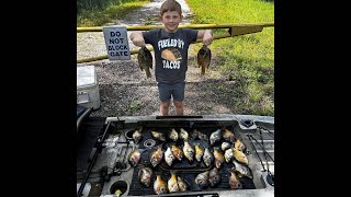 Bream Fishing In Thick Cypress Trees