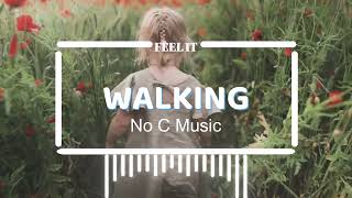 Background Music For Walking Exercise | No C Music |