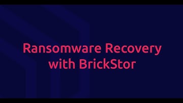 Ransomware Recovery with BrickStor