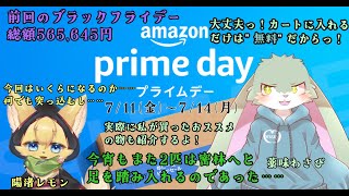 【Amazonプライムデー！】再びうさぎと猫は密林へと赴く……何でも突っ込んでカートを溢れさせるために……！