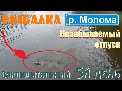 Отпуск на реке. Часть 5 Заключительная