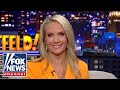 Perino: Biden is setting records all over the place