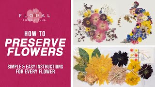How to Preserve Flowers | Simple Instructions for Any Flower