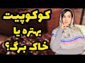 کوکوپیت بهتره یا خاک برگ مقایسه کوکوپیت و خاک برگ بهترین بستر کشت برای گیاهان آپارتمانی 