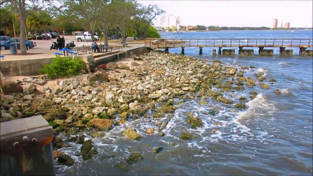 Ballast Point Park of Tampa