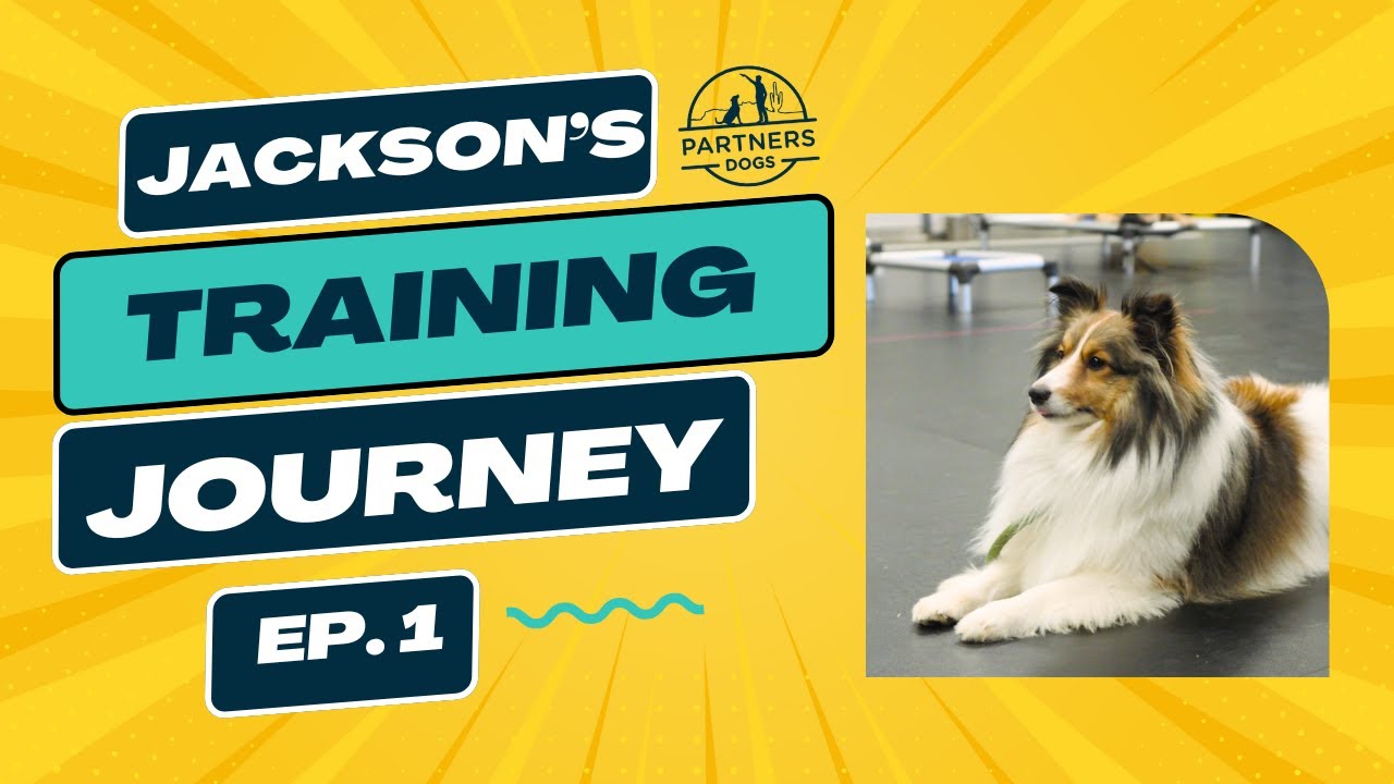 Jackson: Episode 1