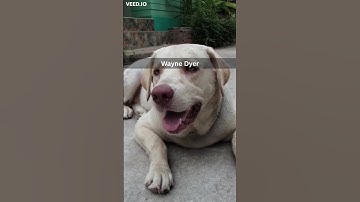 Motivation for change! Like, subscribe and comment! https://linktr.ee/getuplazymotivation