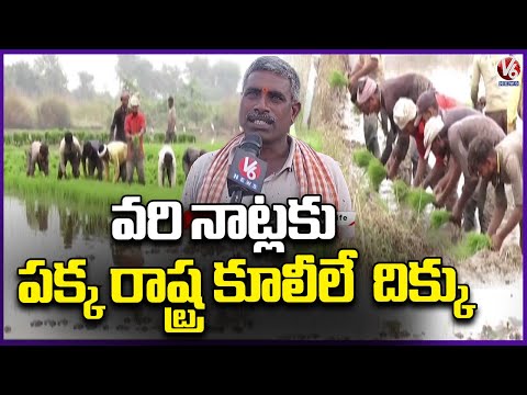 Mancherial Farmers Depends On Migrants Workers For Paddy Sowing | V6 News - V6NEWSTELUGU