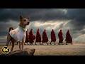 The Dog Who Crossed America for Peace | Aloka’s Incredible Journey (8K)
